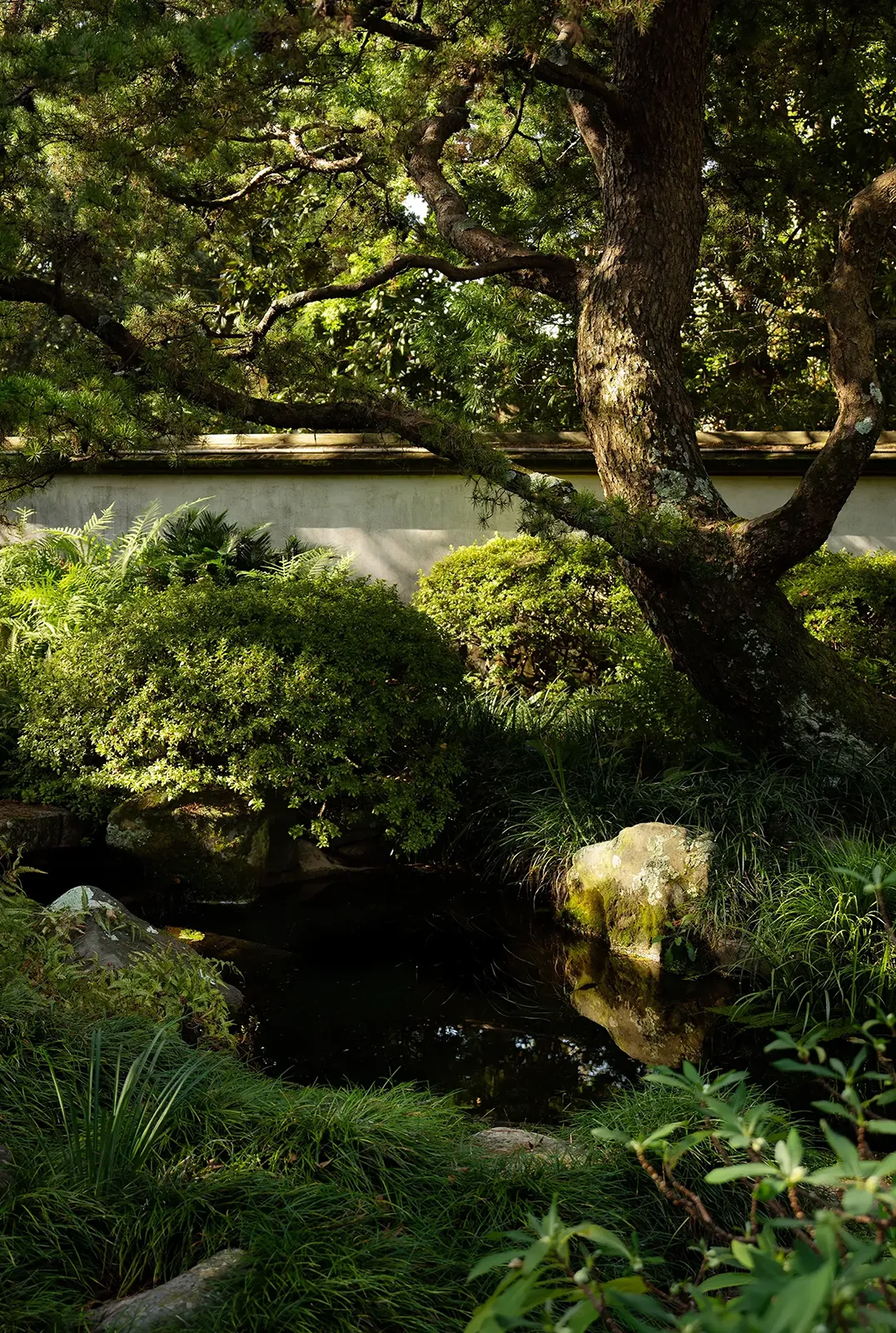 Botanical Gardens