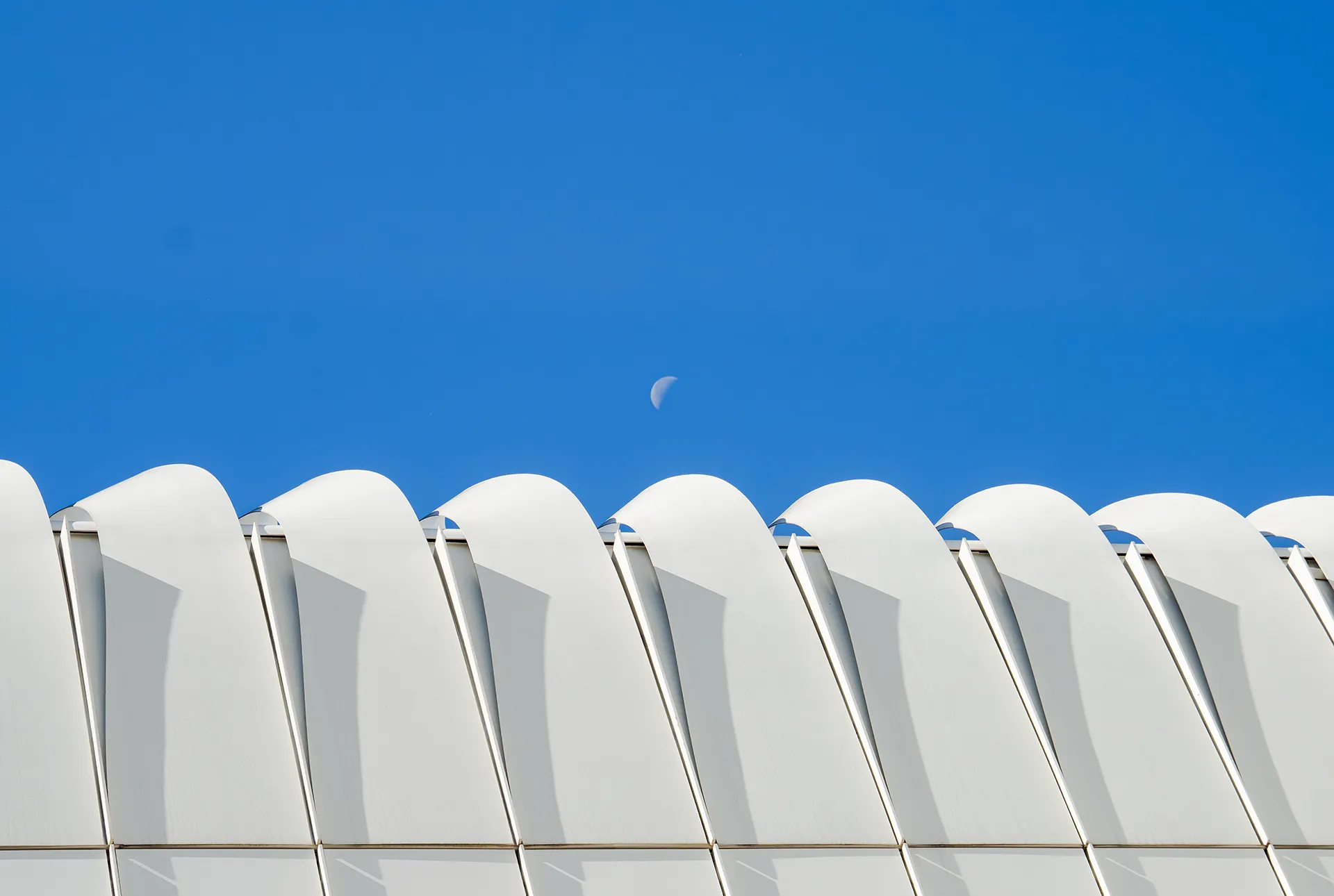 High Museum of Art